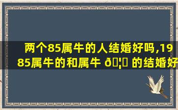 两个85属牛的人结婚好吗,1985属牛的和属牛 🦋 的结婚好吗